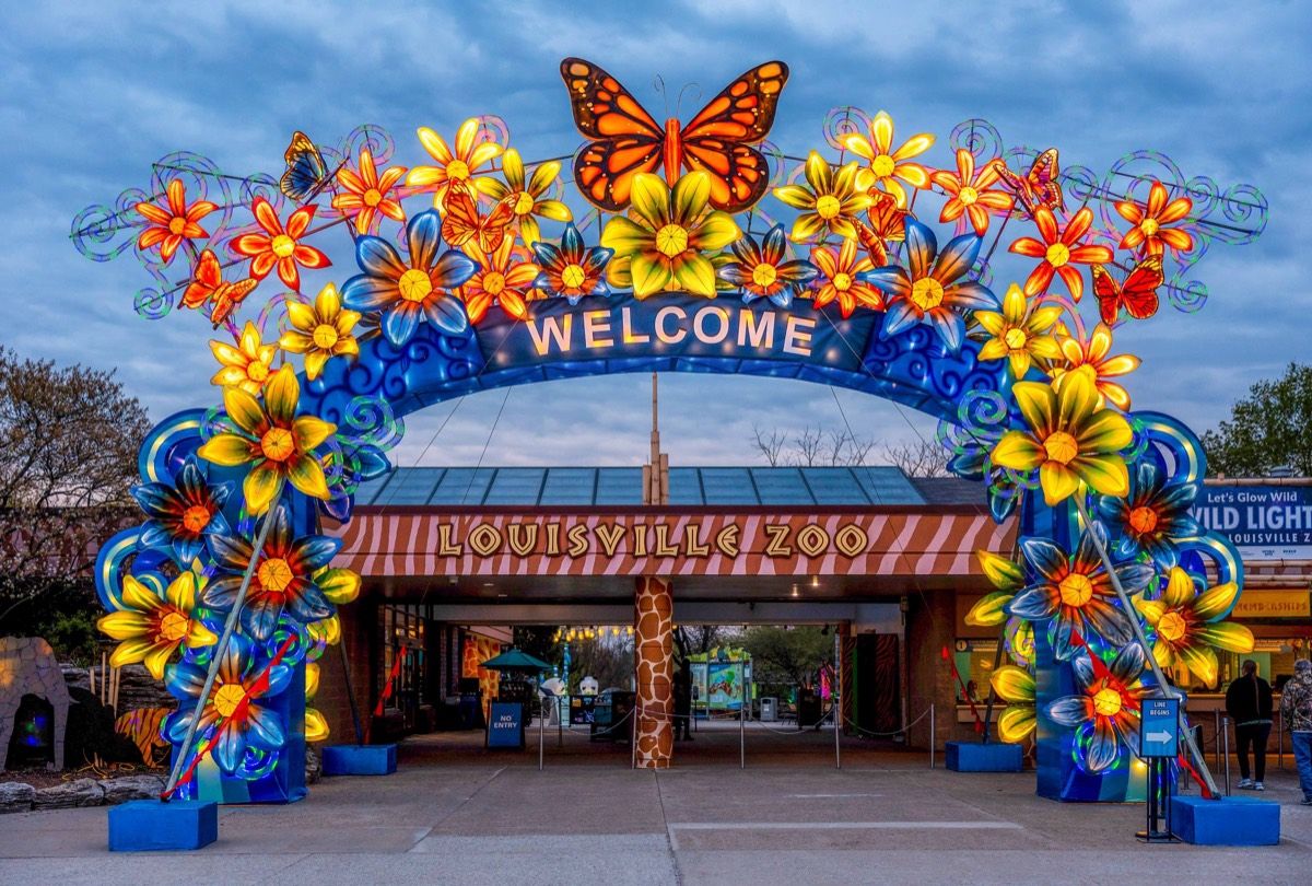 Zoo lantern festival welcome archway entrance at night