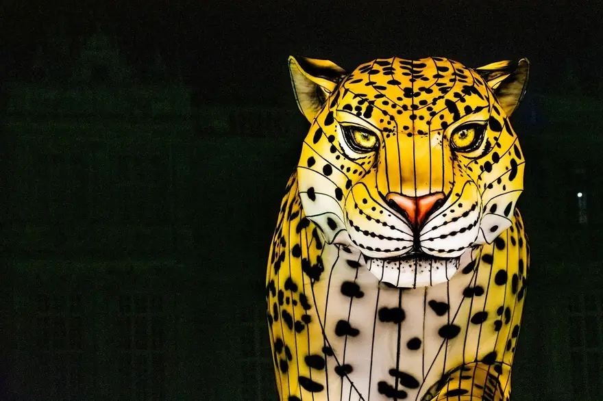 Illuminated animal leopard lantern head at night