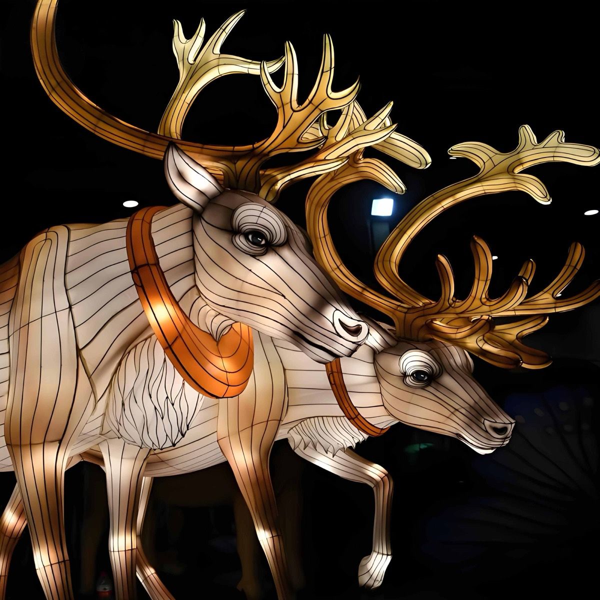 Giant golden reindeer lanterns walking in pair at night