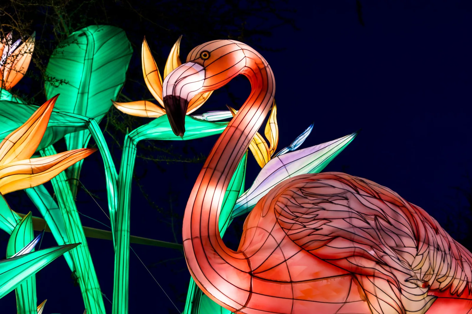 Flamingo & Bird-of-Paradise lantern by Spark Lantern, Zigong