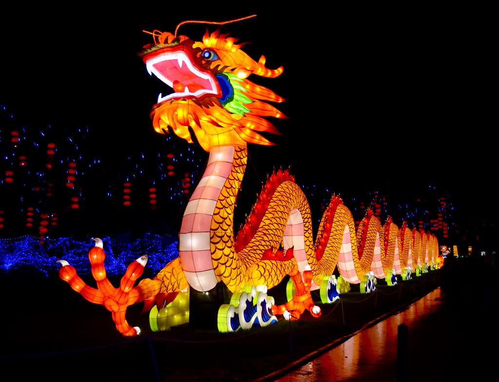 Dragon Boat Lantern dragon display over waterfront at night