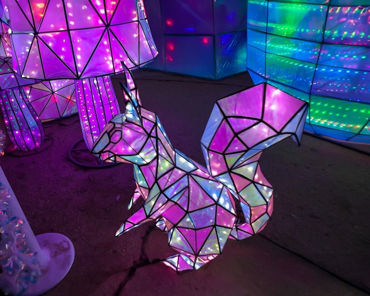 Mushroom Garden with geometric squirrel lantern among mushrooms