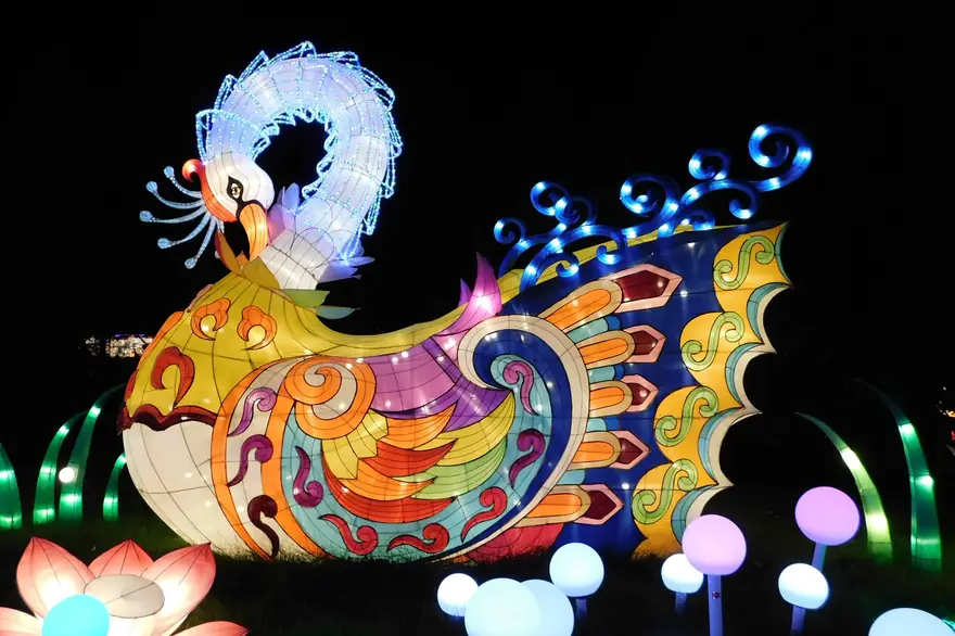 Wing-Spread Phoenix lantern by Spark Lantern, Zigong
