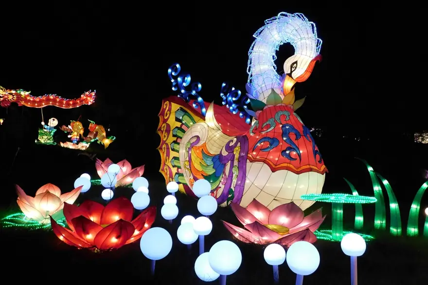 Phoenix Ascension lantern by Spark Lantern, Zigong