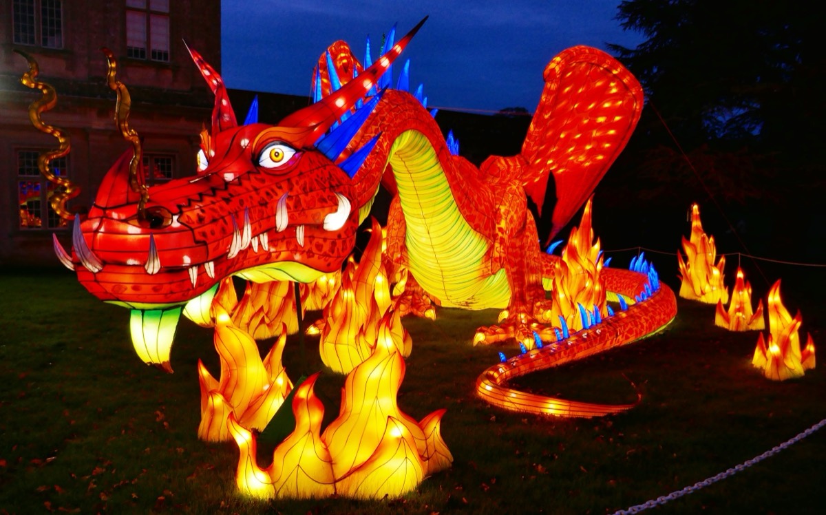 Fire-Breathing Animatronic Dragon red dragon lantern at night