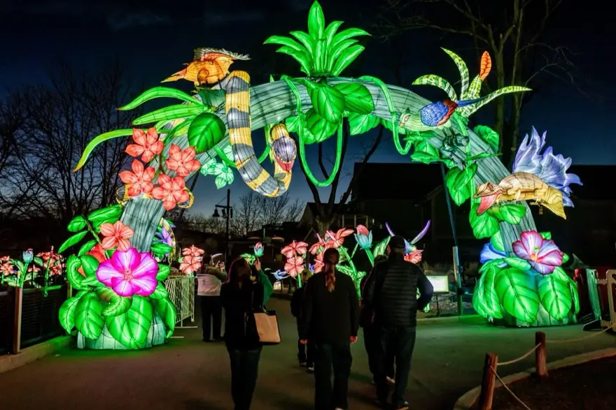 Lotus on the Lake lantern by Spark Lantern, Zigong