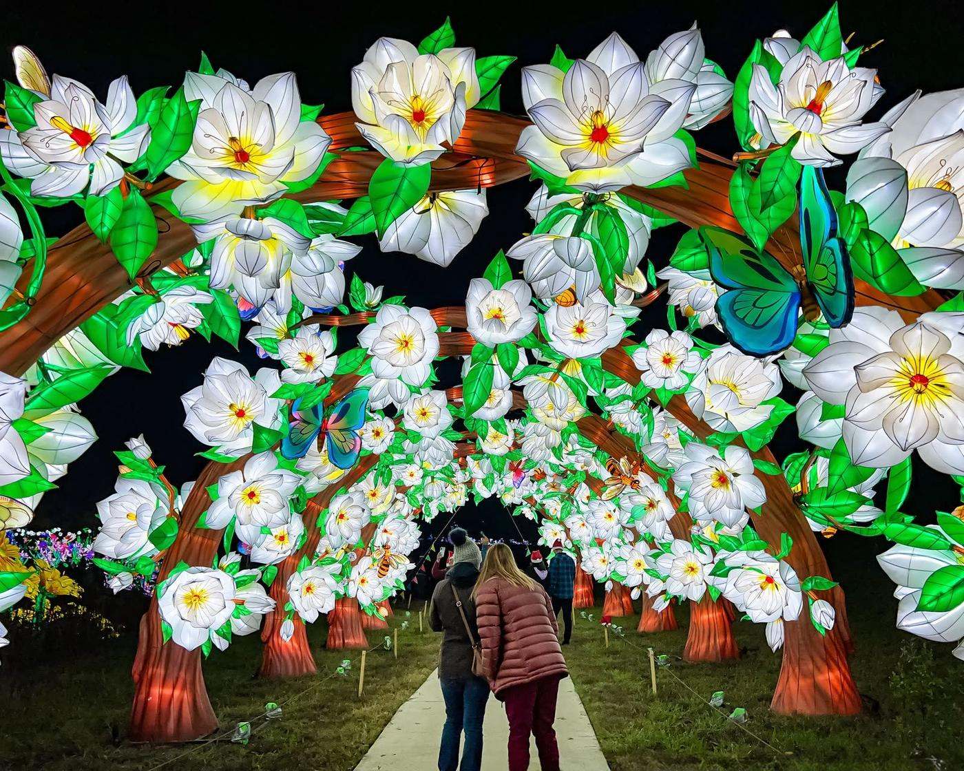 Cherry blossom lantern tunnel archway with visitors walking