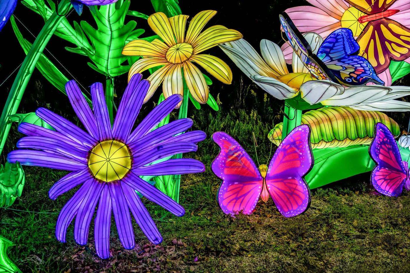 Glowing butterfly lanterns among flowers on the night trail