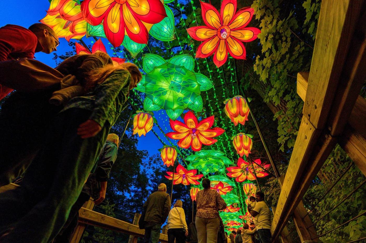 Flower canopy tunnel immersive lantern walkway