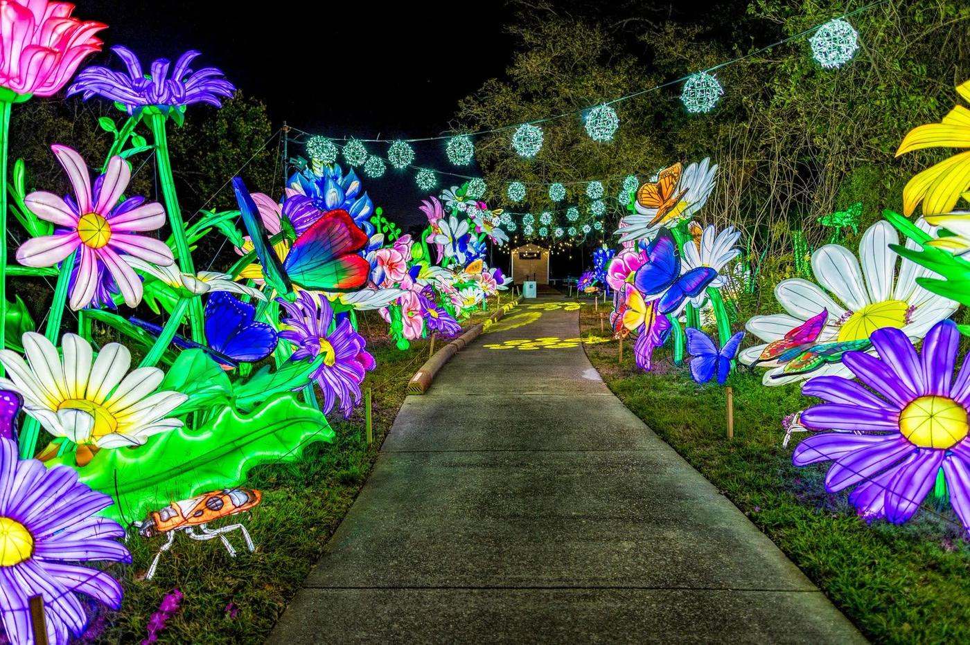 Flower lantern pathway with giant blooms glowing at night