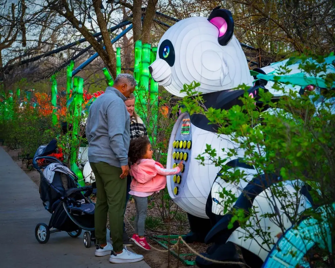 Giant panda lantern in bamboo forest daytime display