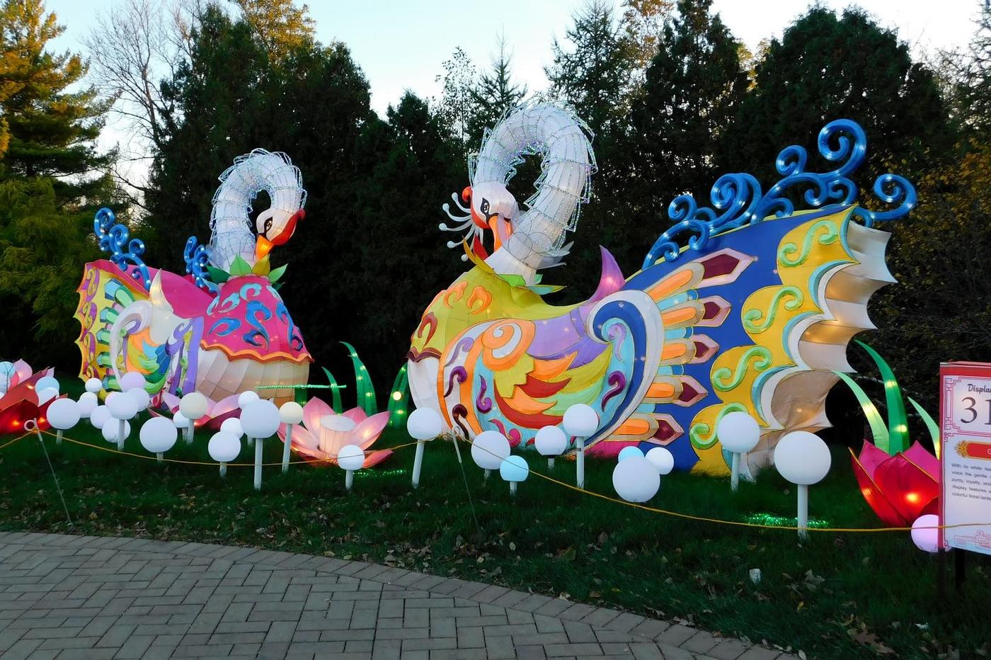 Phoenix lantern pair installation at venue